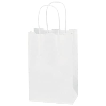 Bsc Preferred 5-1/2 x 3 1/4 x 8-3/8'' White Paper Shopping Bags, 250PK BUY00030892